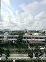 Blk 546 Bedok North Green (Bedok), HDB 3 Rooms #585859591